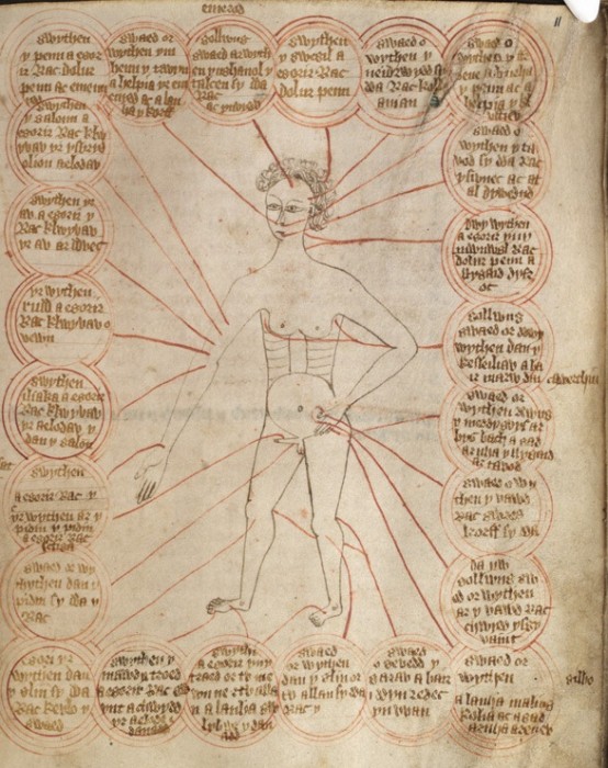 Bleeding the body in a 15th century manuscript
